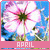 Months: April