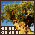 Walt Disney World: Animal Kingdom