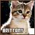 Brittany (vampify.net, nicegirlsreadbooks.com)