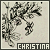Christina: (9crimes.org, city-of-lights.org)