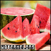 Fruit & Vegetables: Watermelons