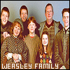 Harry Potter series: [+] Weasley Family