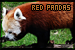 Pandas: Red