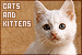 Cats/Kittens