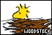 Peanuts: Woodstock