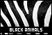 Black Animals