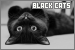 Cats: Black