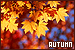 Weather/Seasons/Time: Autumn/Fall