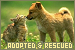 Adopted & Rescued Animals